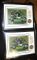Green Bay Packers Chromium Lithograph w/ Super Bowl Flip Coin- #780 #16 out of 2500