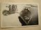 1944 US Censorship Fairbanks Alaska- 1 Cent- A Successful Seal Hunt - Alaska Postcard