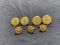 Waterbury Button Co. Buttons- Lion Crest on Lines-3 Small -4 Large Buttons Pattern #29193