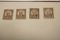 U.S #641 Mint Never Hinged 9 cent Stamp