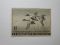 US Department of Interior Scott #RW12 $1 Shoveller Ducks Stamp 1945, MNH