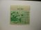US Department of Interior Scott #RW16 $2 Goldeneye Ducks 1949, MNH/ Gum Skips on Plate # - Plate Single #160793