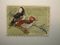 US Department of Interior Scott #RW35 $3 Hooded Mergansers Duck Stamp 1966, Used & Signed
