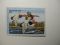 US Department of Interior Scott #RW54* $10 Redhead Ducks Stamp 1987, MNH