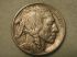 1928 U.S. Five Cent Buffalo Nickel Extremely Fine