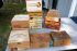 Mixed Lot of 14 EMPTY Cigar Antonio Bering Muriel TenTen Tebson++