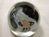 Janet Kelman Art Glass Pen holder Paper weight Signed 1980 C-101