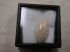 Blue Nile Opal 10.12 Ct 23x12mm Marquise Cabochon