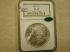 1887 Morgan MS65 NGC CAC green bean Bright and Lusterous