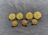 Waterbury Button Co. Buttons- Lion Crest on Lines-3 Small -4 Large Buttons Pattern #29193
