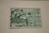 RW#16 Stamp $2 Migratory Bird