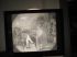 Magic Lantern Eye Gate Complete US History Set of 74 with box (Copy)
