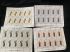 Palestinian #30-33 Mini Sheets of 10 Mint UH