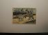 US Department of Interior Scott #RW31* $3 Hawaiian Geese Stamp 1964, Used & Signed
