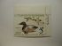 US Department of Interior Scott #RW42 $5 Canvasback 1975, MNH Plate Single #172775