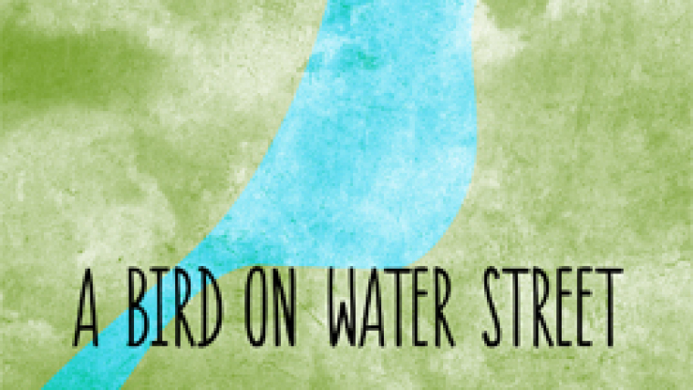 A Bird on Water Street by Elizabeth Dulemba