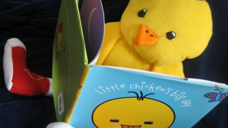 LIttle Chicken Reads a Book