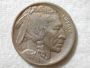 1913-D U.S. Five Cent Buffalo Nickel