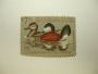 US Department of Interior Scott #RW48 $7.50 Ruddy Ducks 1981, MNH - Migratory Bird Hunting and Conservation Stamp
