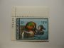 US Department of Interior Scott #RW48 $7.50 Green-winged Teal 1981, MNH /NG Plate Single #173423