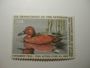 US Department of Interior Scott #RW52 $7.50 Cinnamon Teal Duck Stamp 1985, MNH