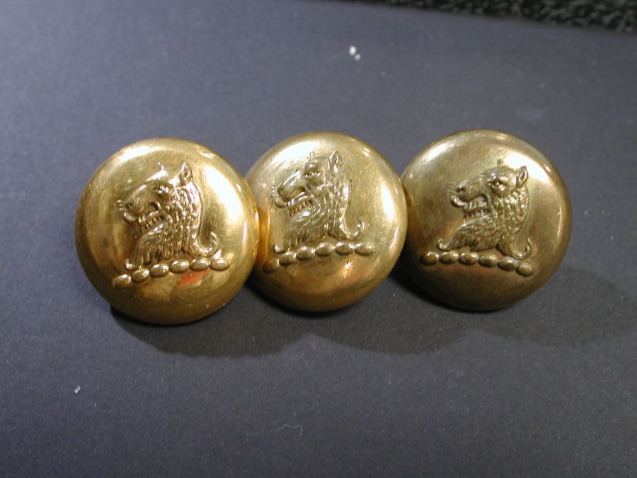 Civil War Lion Leopard Brass Buttons set of 3 Scovill MFG Co Waterbury ...